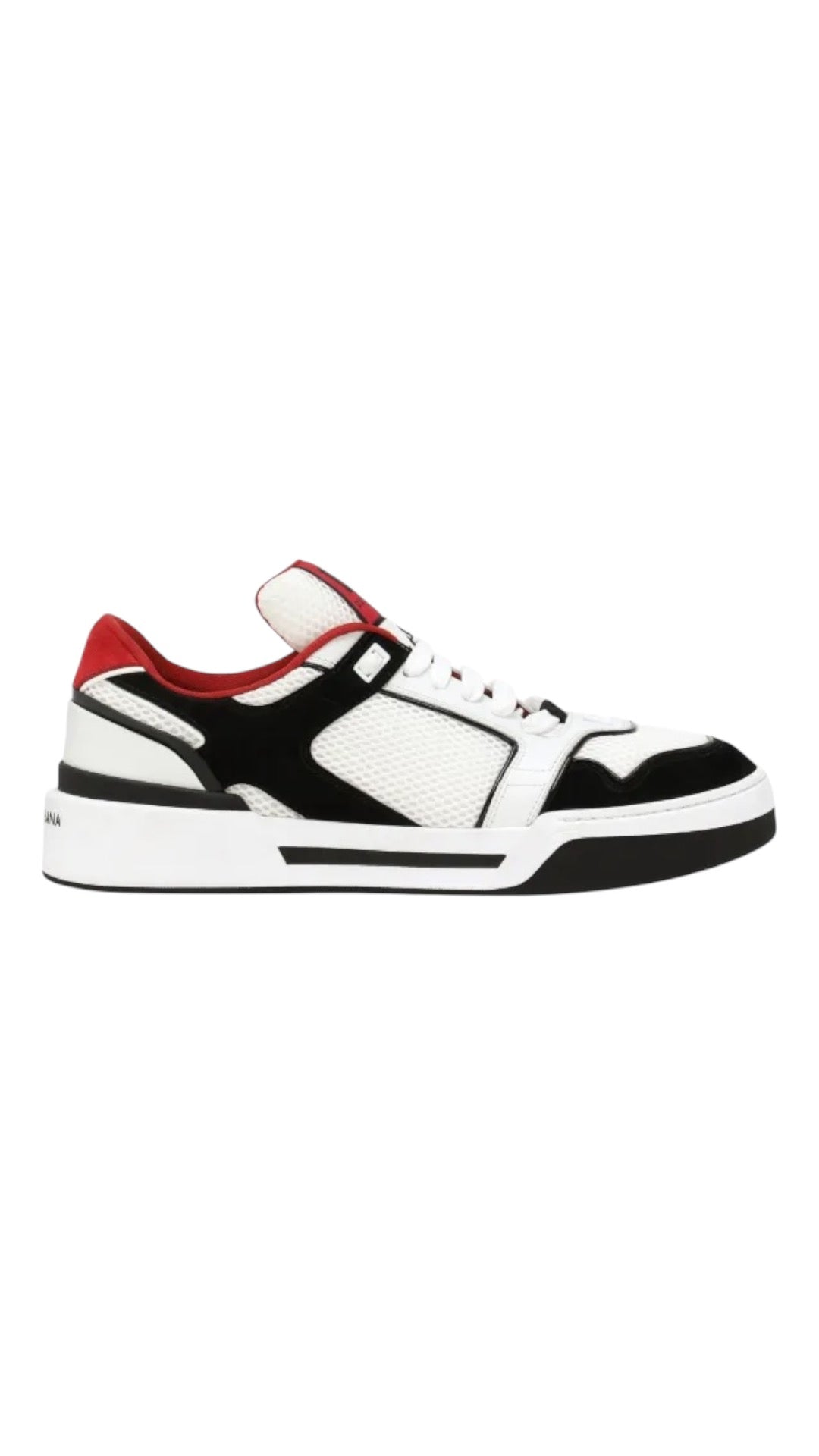 Dolce & Gabbana new roma low top