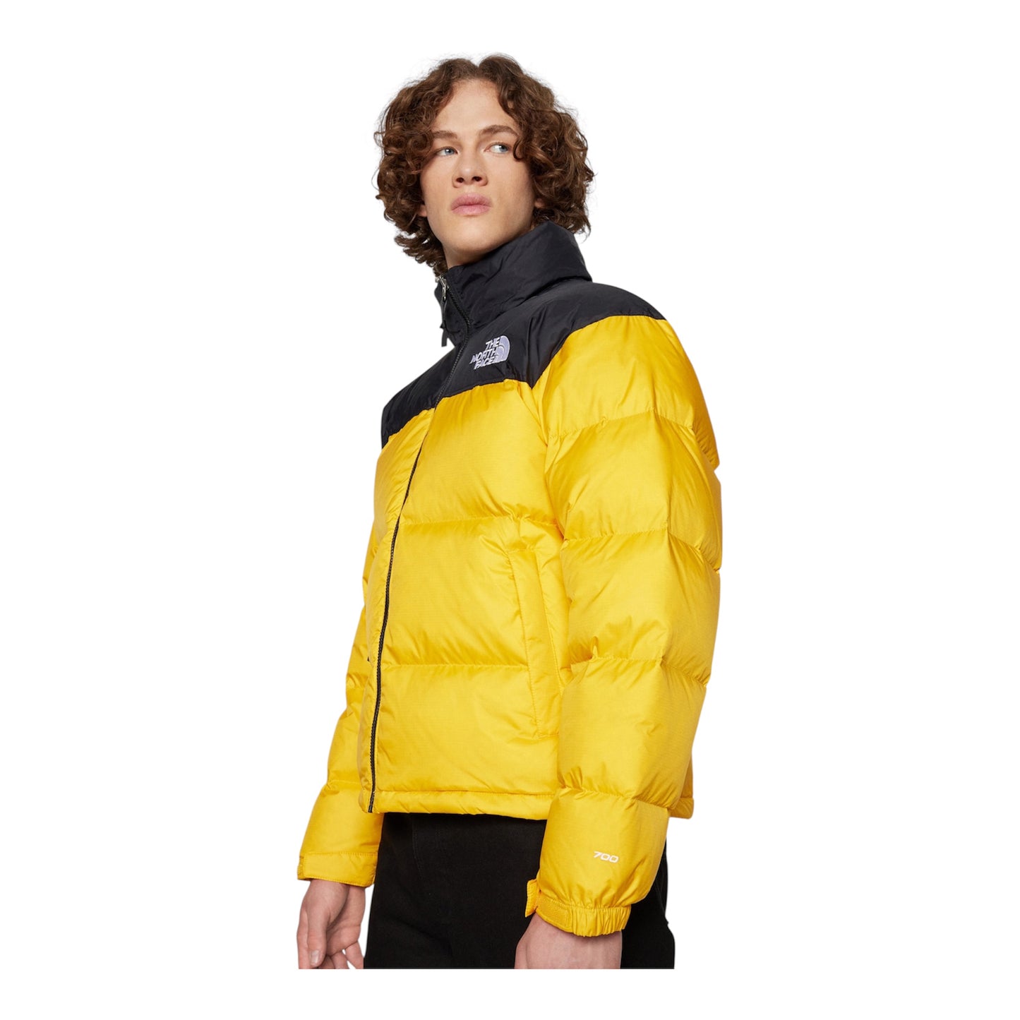 The north face nuptse jacket