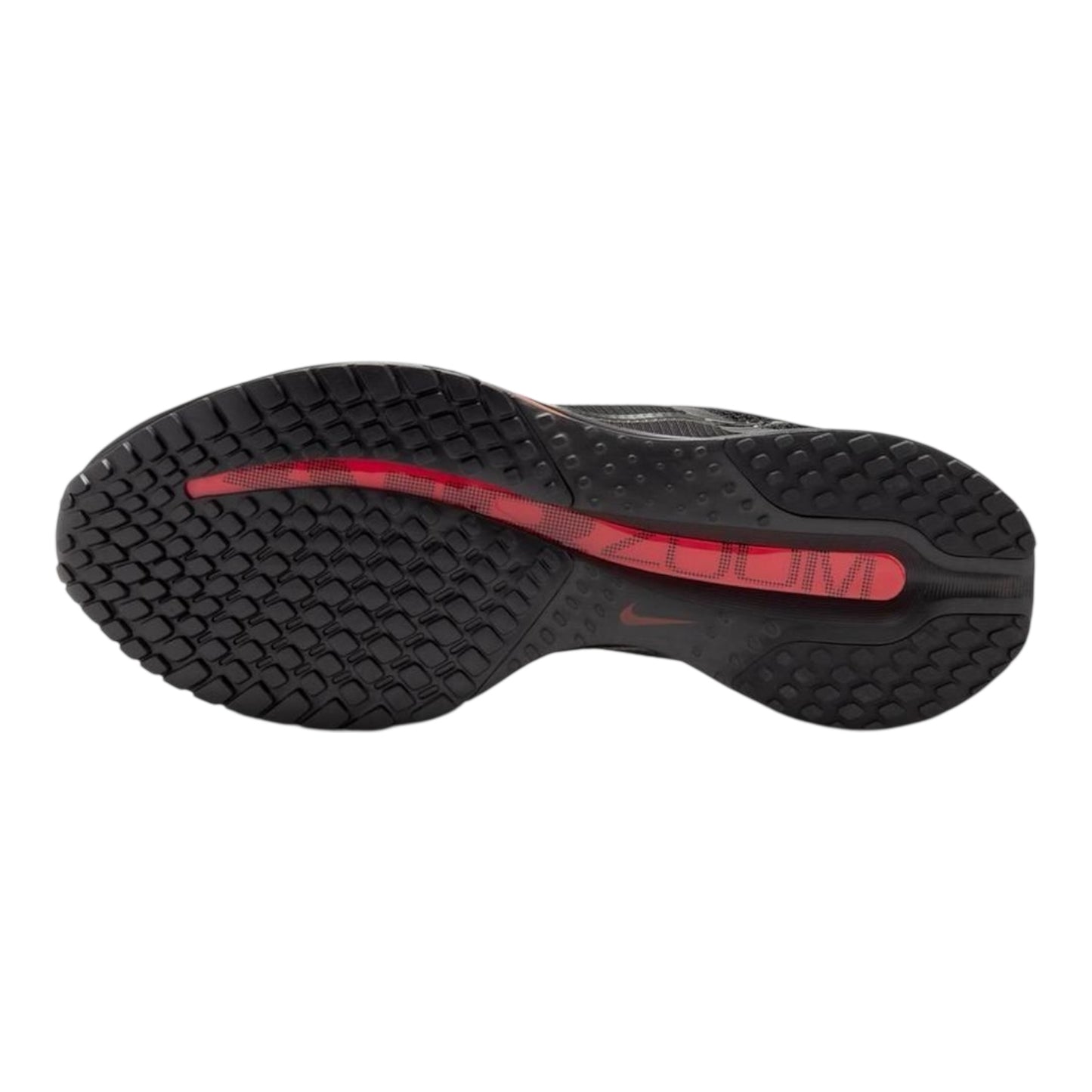 Nike Pegasus Premium
"Black & Bright Crimson"