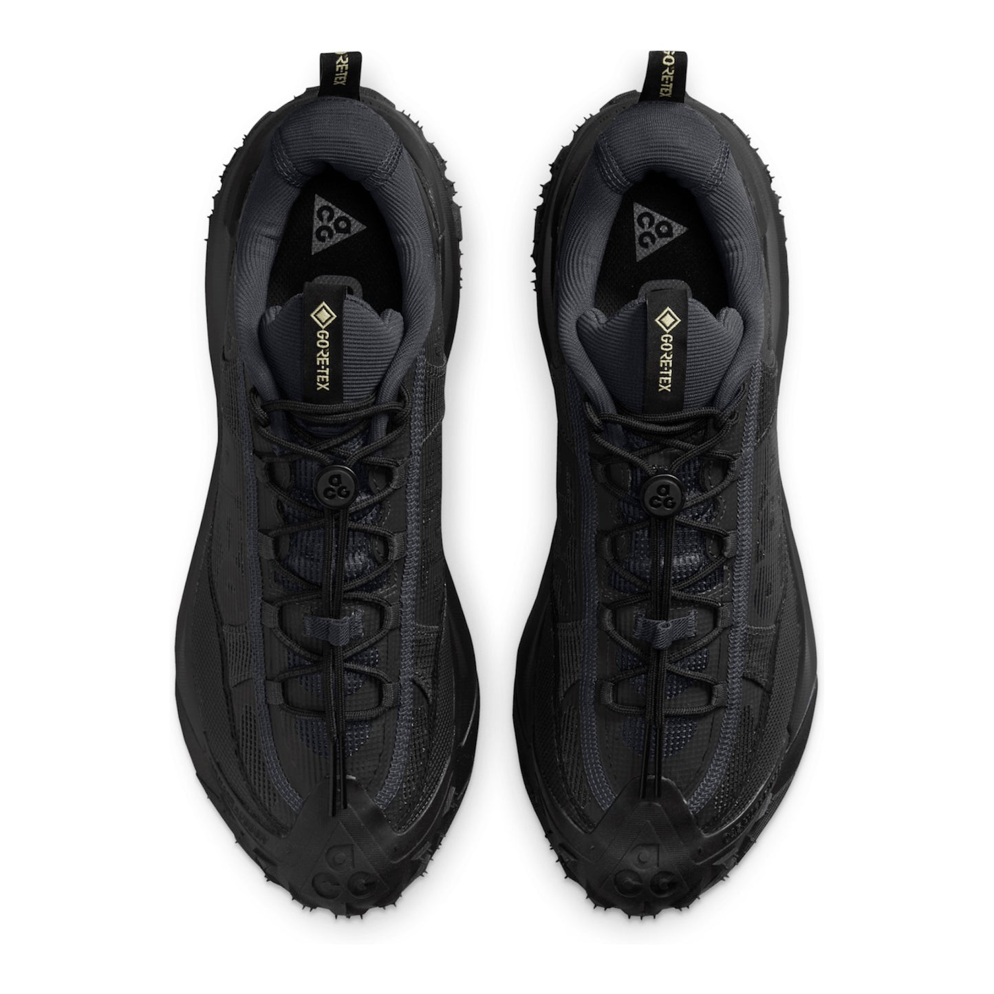 Nike ACG Mountain Fly 2 Low GORE-TEX