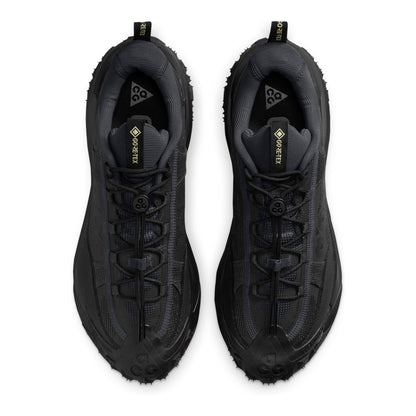 Nike ACG Mountain Fly 2 Low GORE-TEX