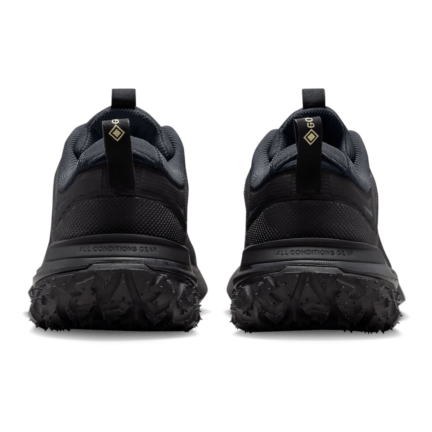 Nike ACG Mountain Fly 2 Low GORE-TEX
